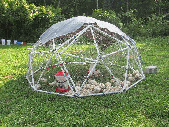 Geodesic Chicken Coop Kits for Sale - Mobile Chicken Coop Kit For Sale